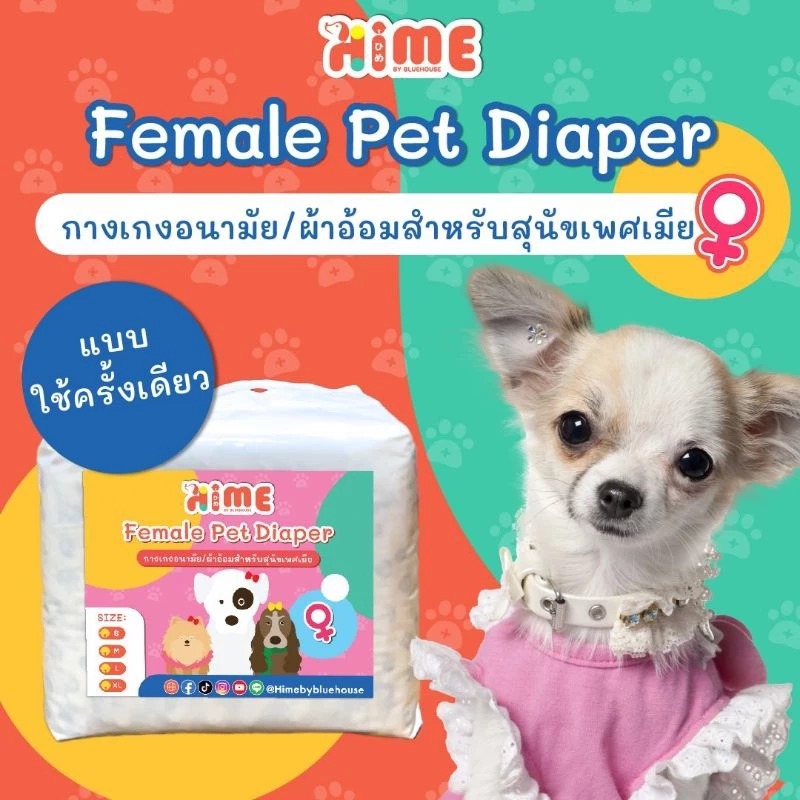 Pet Diaper