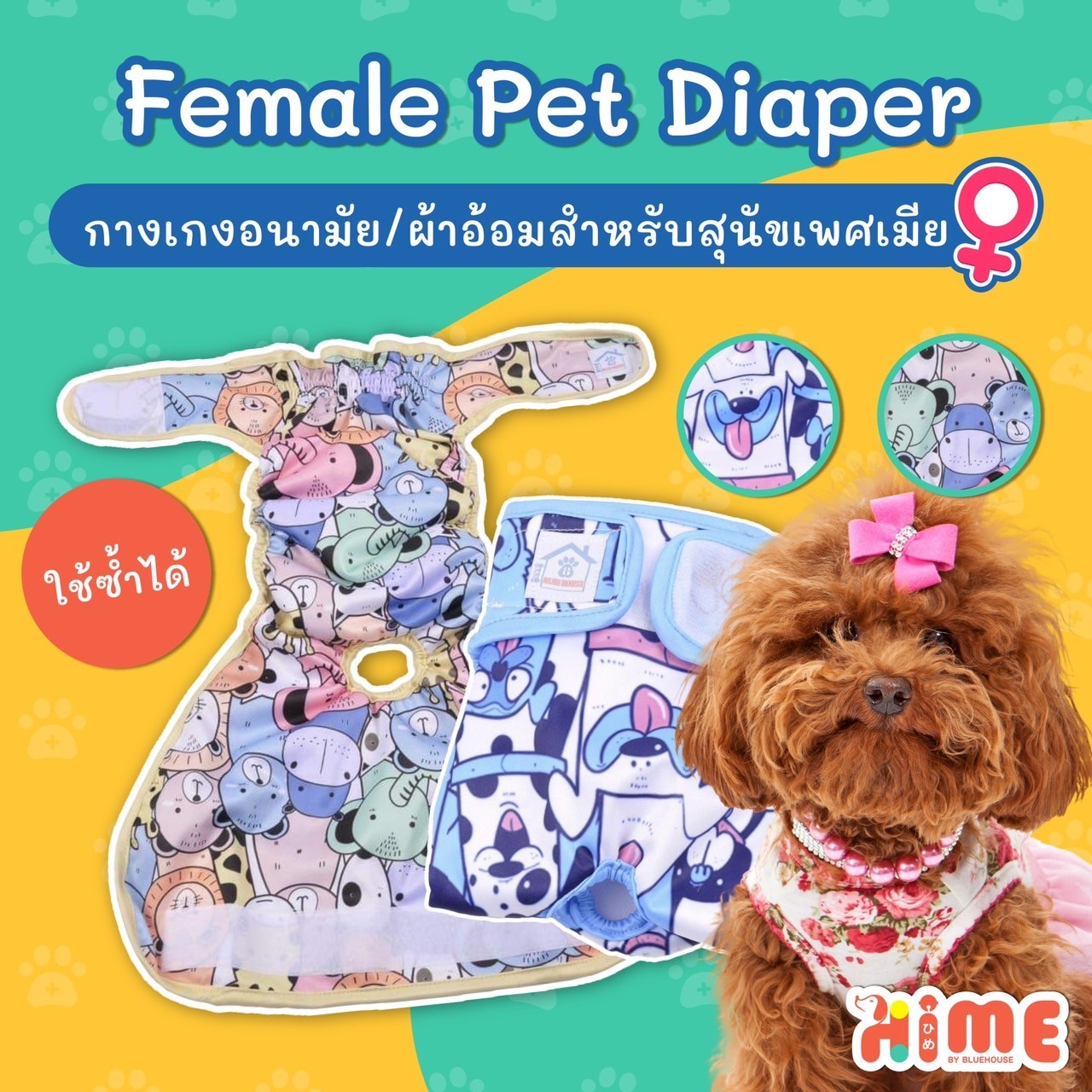 Pet Diaper