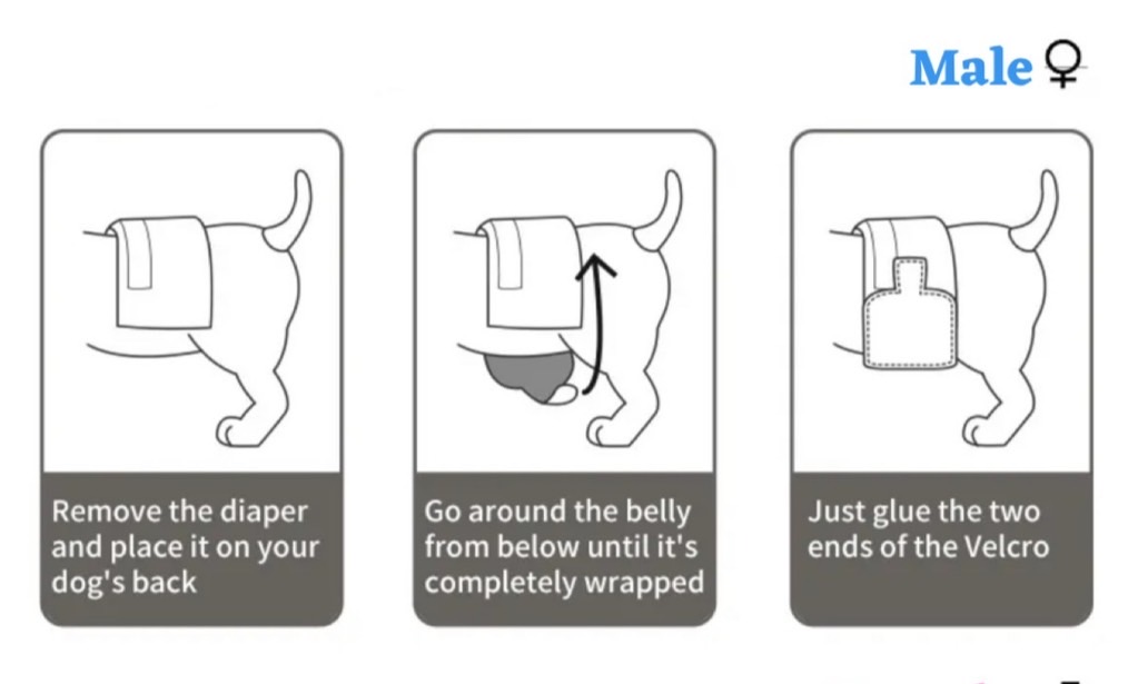 Pet Diaper